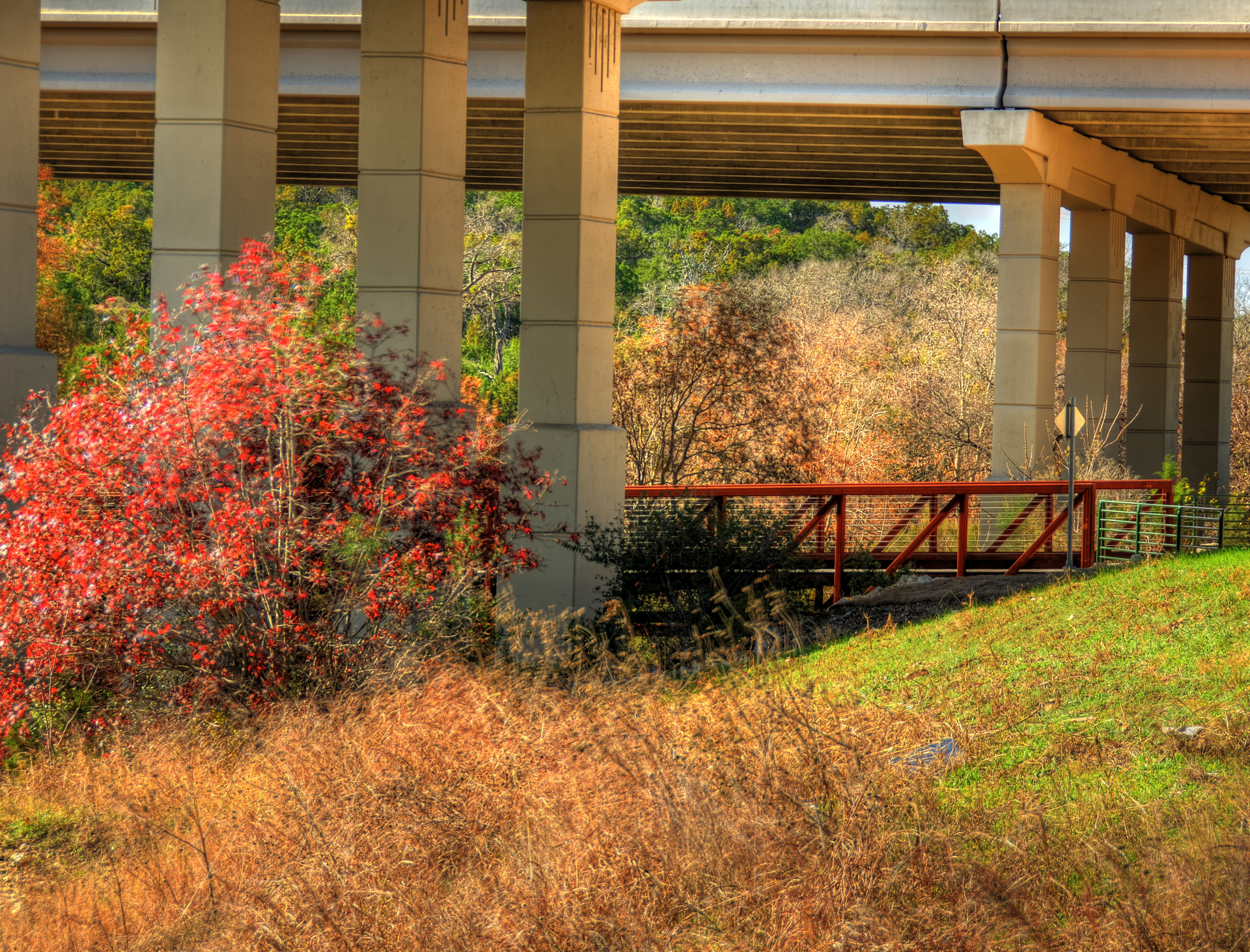 Concrete overpass with vibrant fall colors